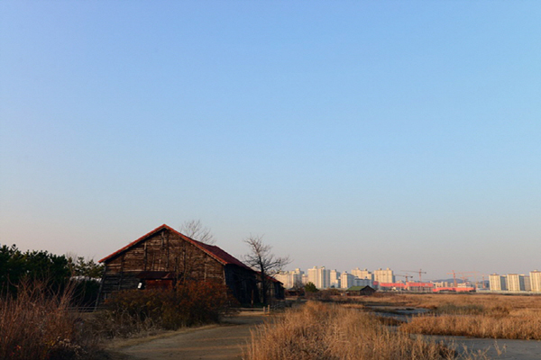 인천둘레길6코스.jpg